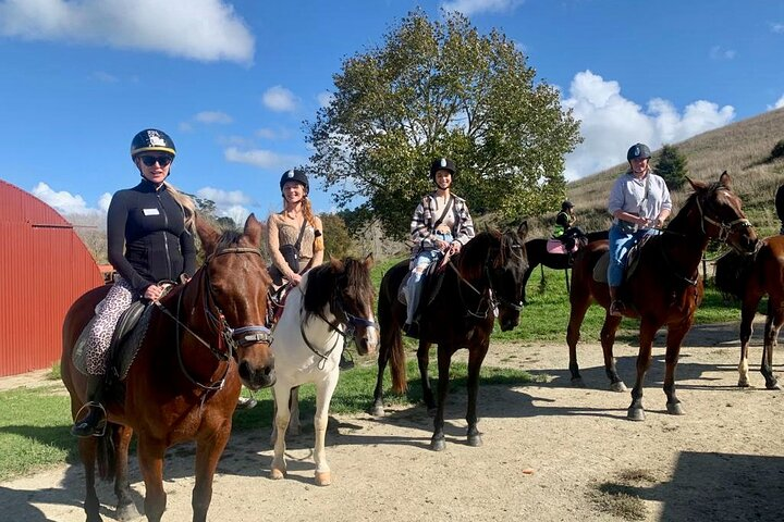 Private Tour - Horse Riding, Wine Tasting and Art Trail - Photo 1 of 15